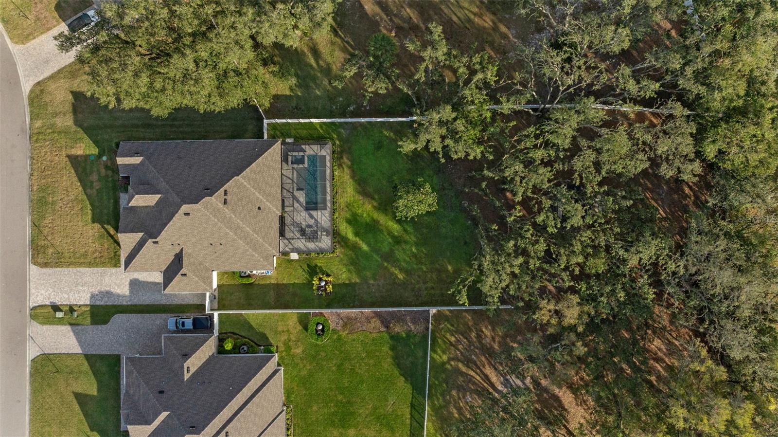 19859 SAMBAR DEER LOOP, LUTZ, FL, 33559