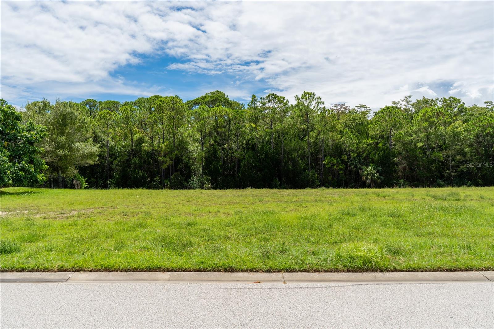 4050 JEWFISH DR, SPRING HILL, FL, 34607