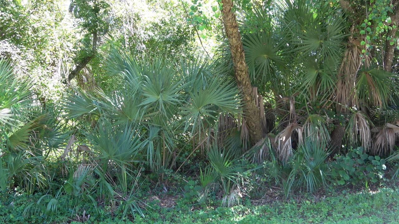 18190 DILLON AVE, PORT CHARLOTTE, FL, 33954