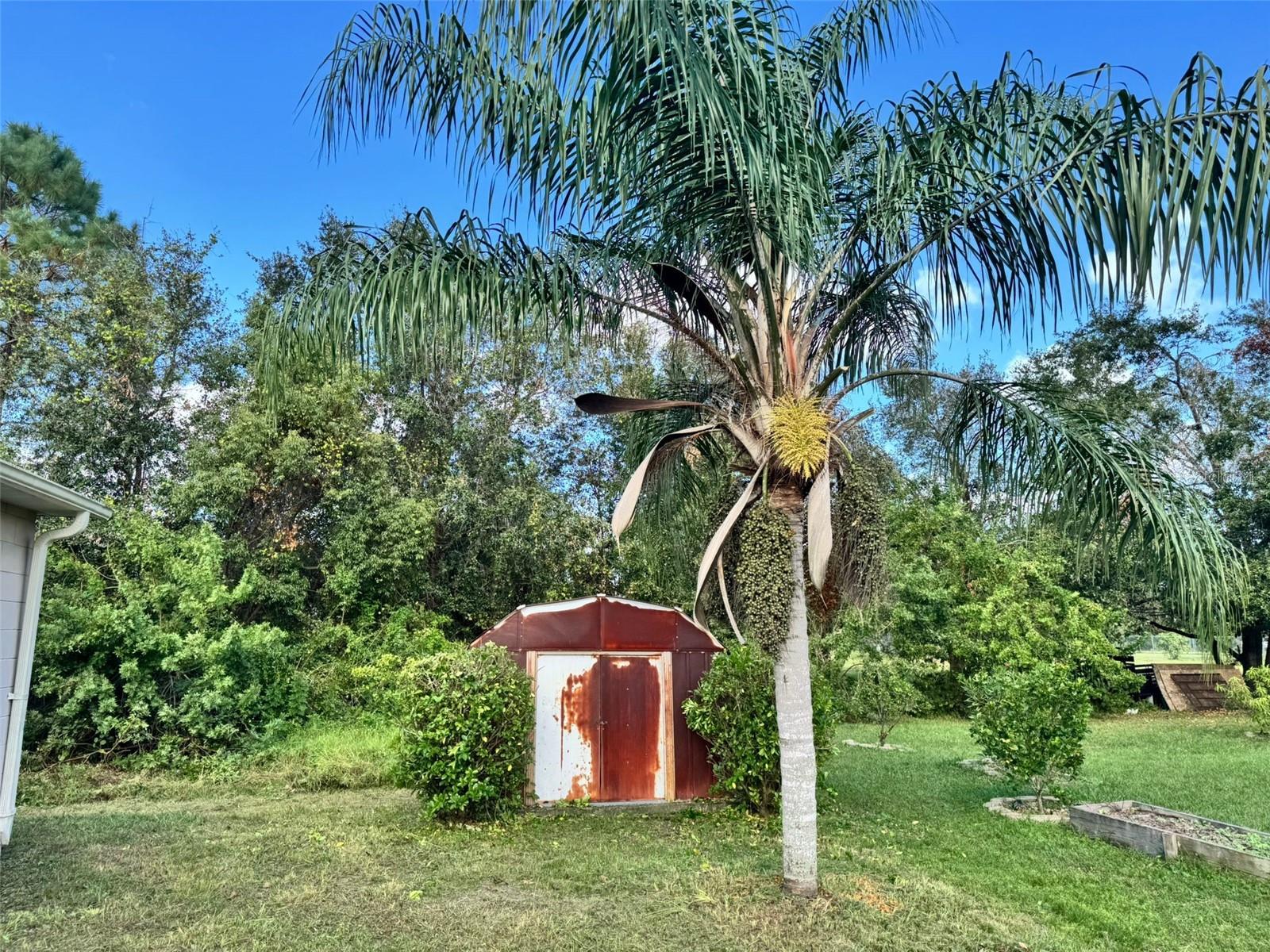 390 COLONADE CT, KISSIMMEE, FL, 34758