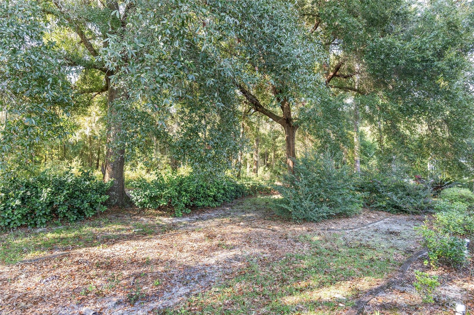 11696 SW 71ST CIR, OCALA, FL, 34476