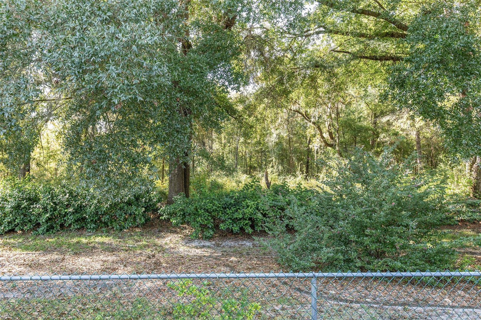 11696 SW 71ST CIR, OCALA, FL, 34476