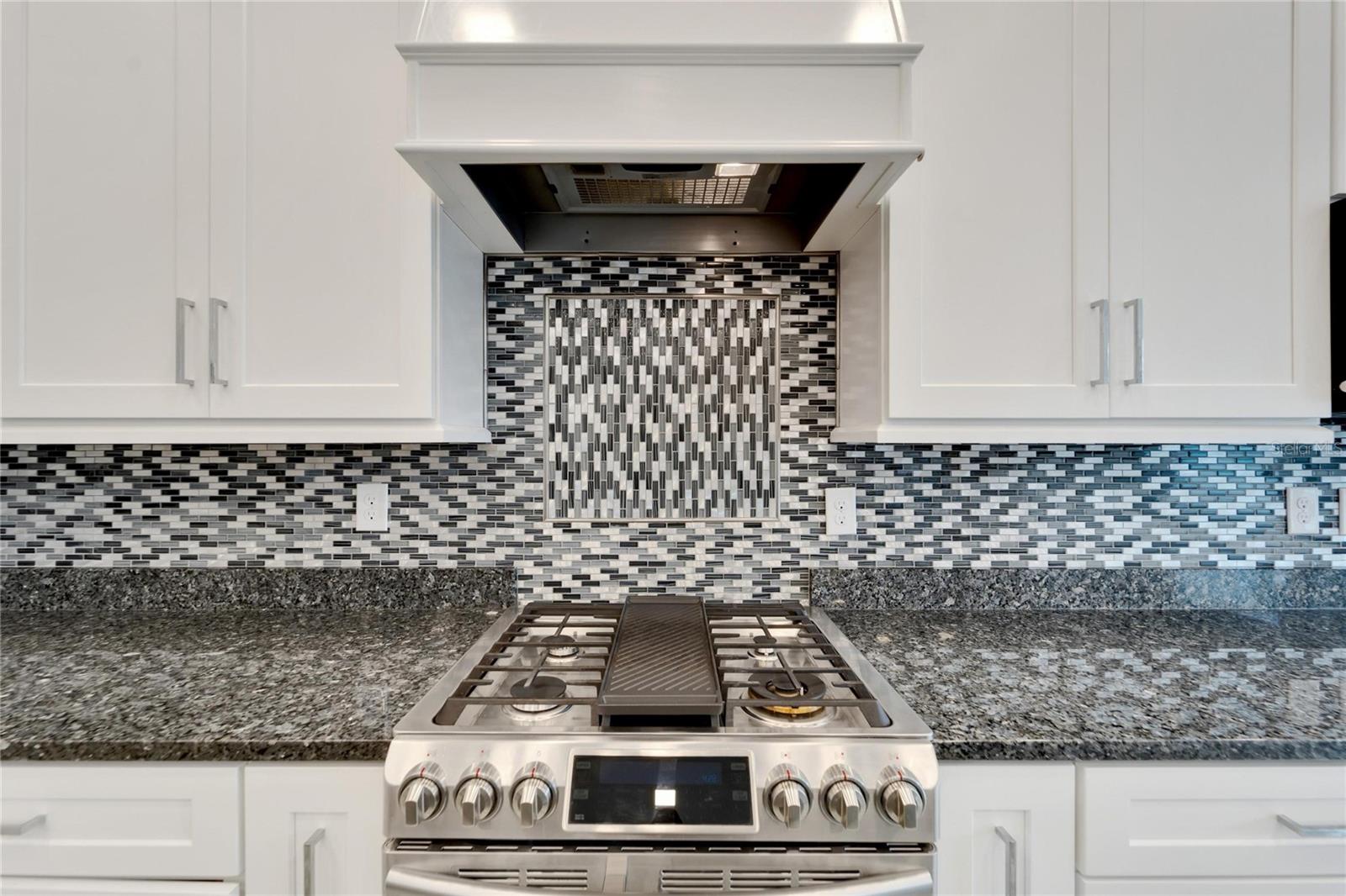 567 BIMINI BAY BLVD, APOLLO BEACH, FL, 33572