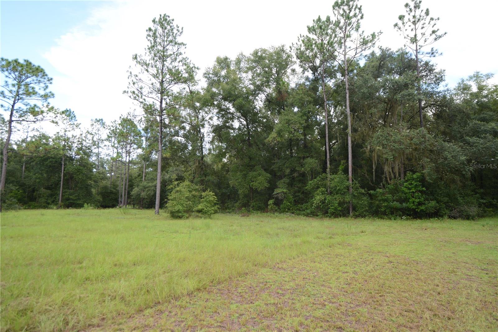 6730 NE 128TH TER, WILLISTON, FL, 32696