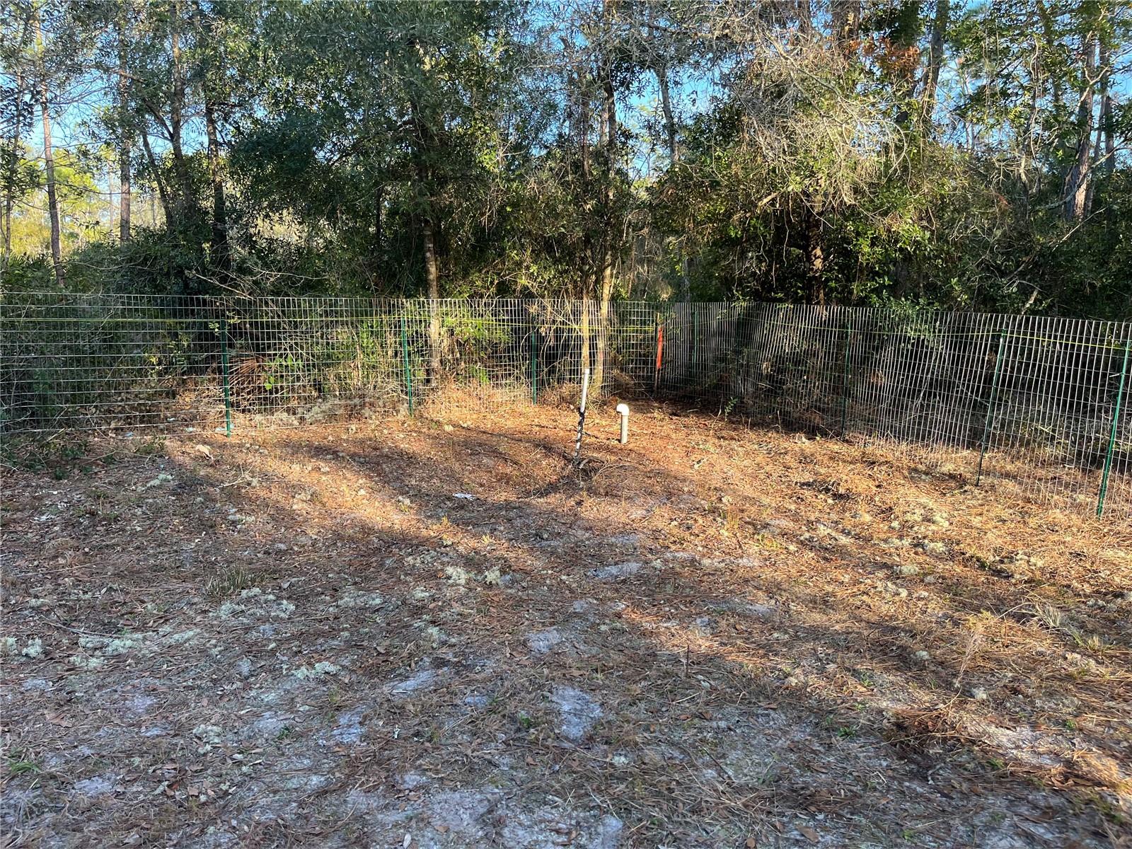 307 MALLARD RD, SATSUMA, FL, 32189