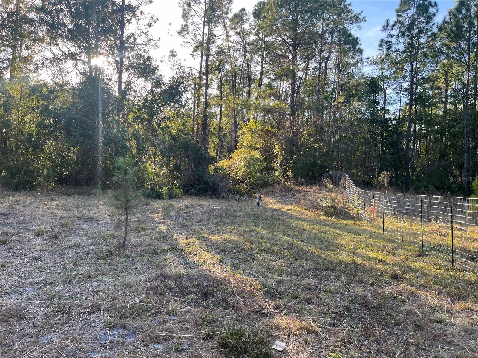 307 MALLARD RD, SATSUMA, FL, 32189