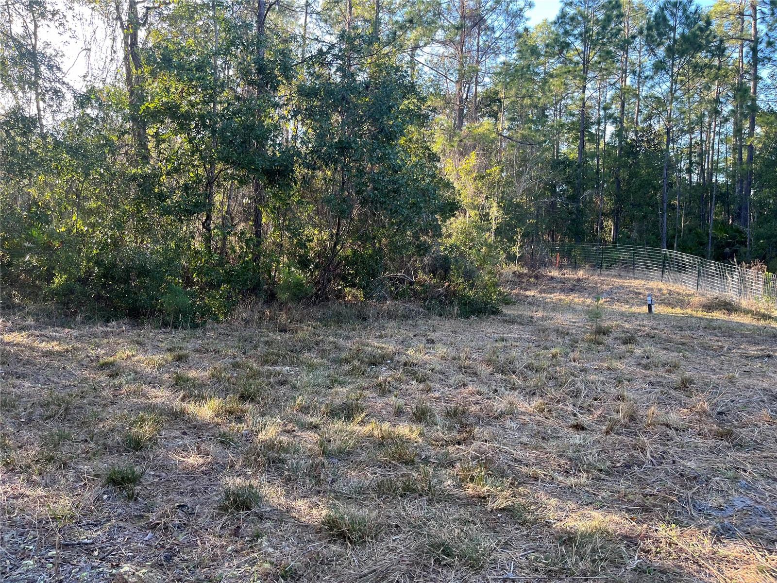 307 MALLARD RD, SATSUMA, FL, 32189