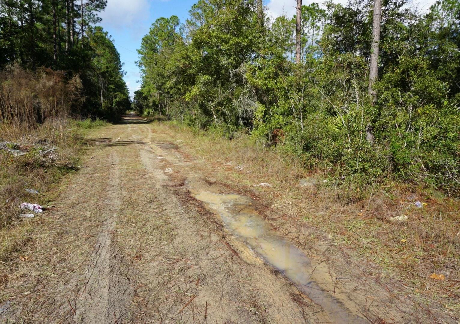 307 MALLARD RD, SATSUMA, FL, 32189