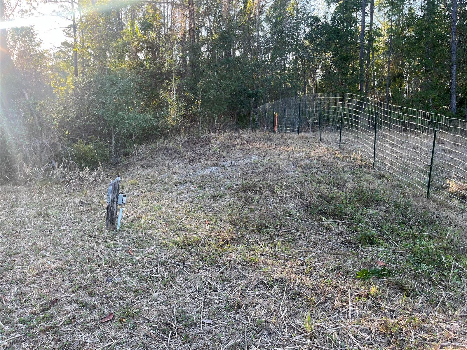 307 MALLARD RD, SATSUMA, FL, 32189