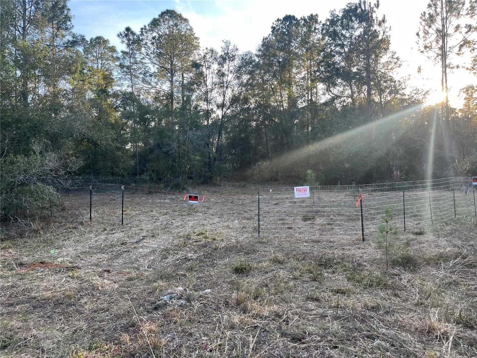 307 MALLARD RD, SATSUMA, FL, 32189