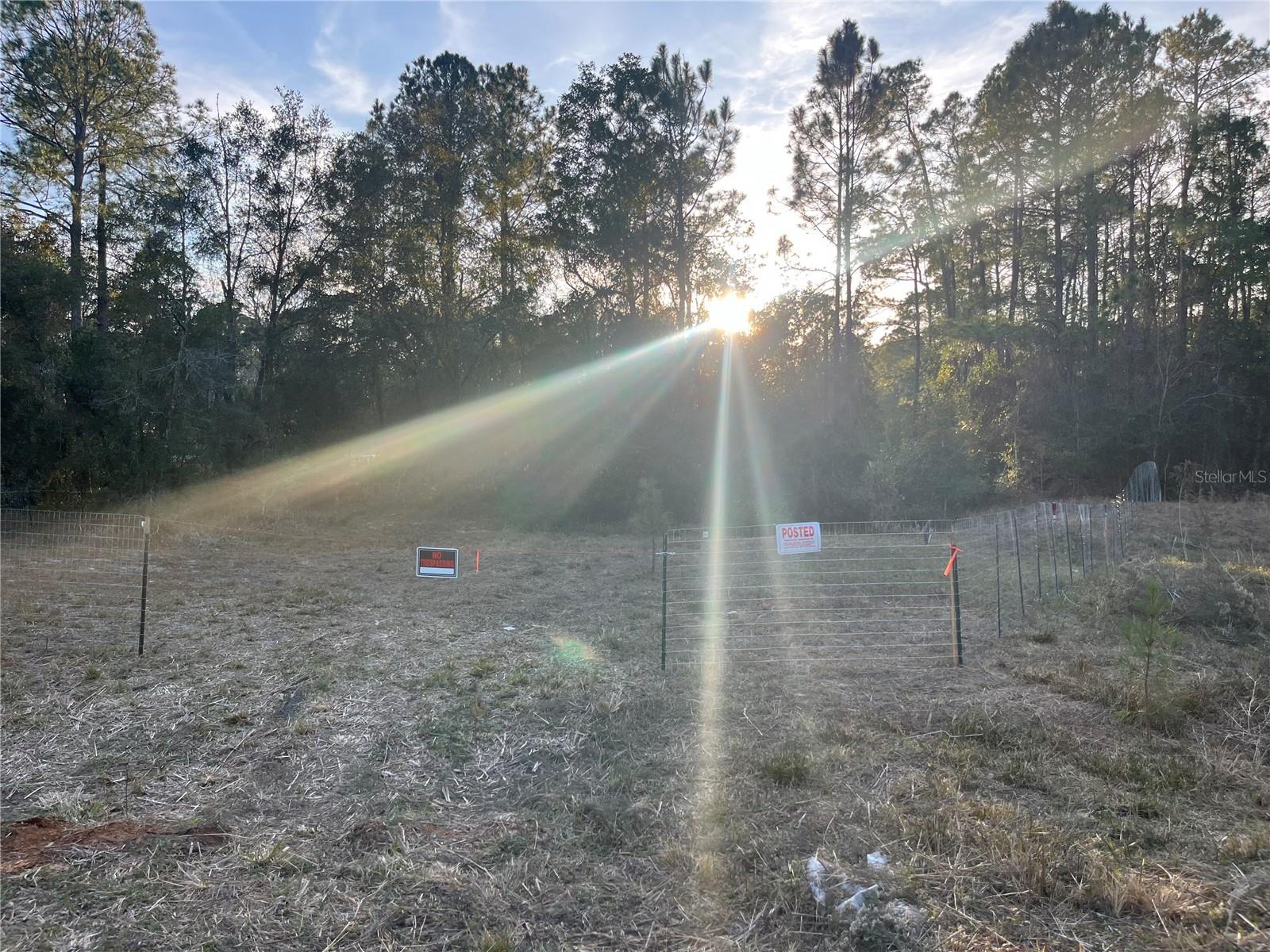 307 MALLARD RD, SATSUMA, FL, 32189