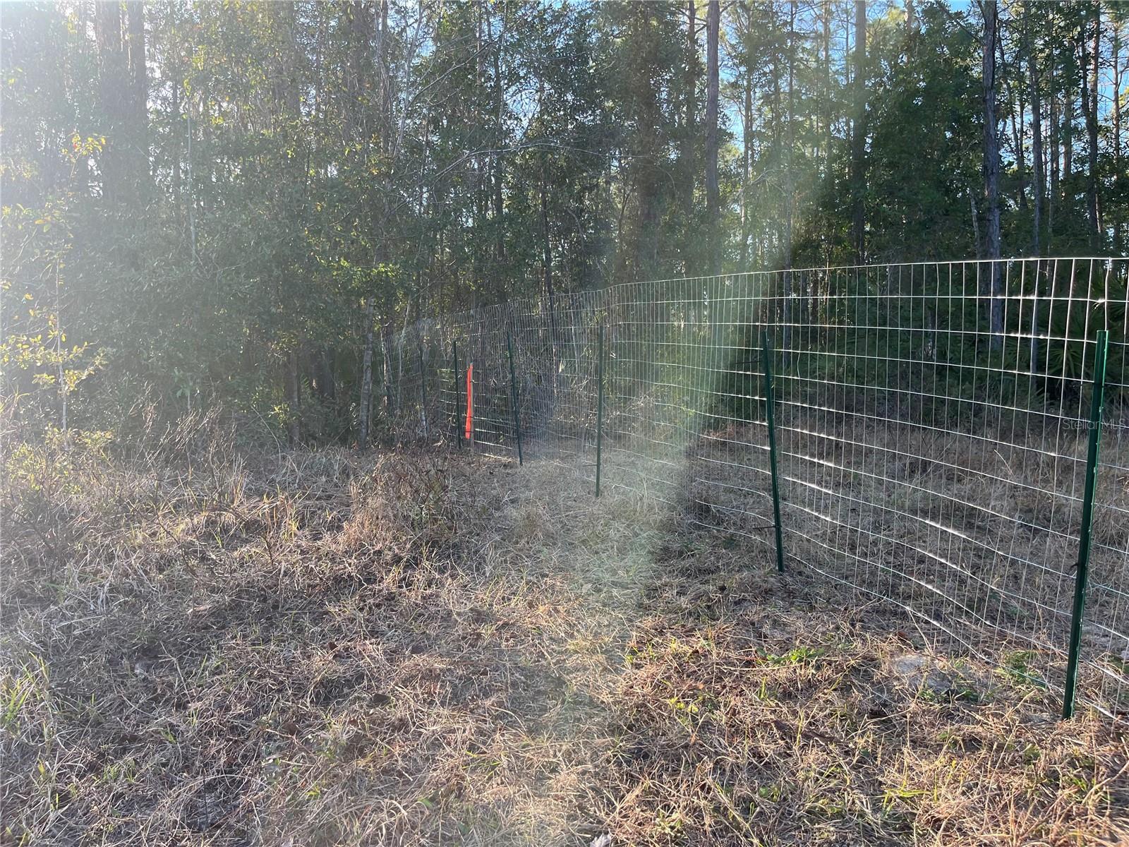 307 MALLARD RD, SATSUMA, FL, 32189