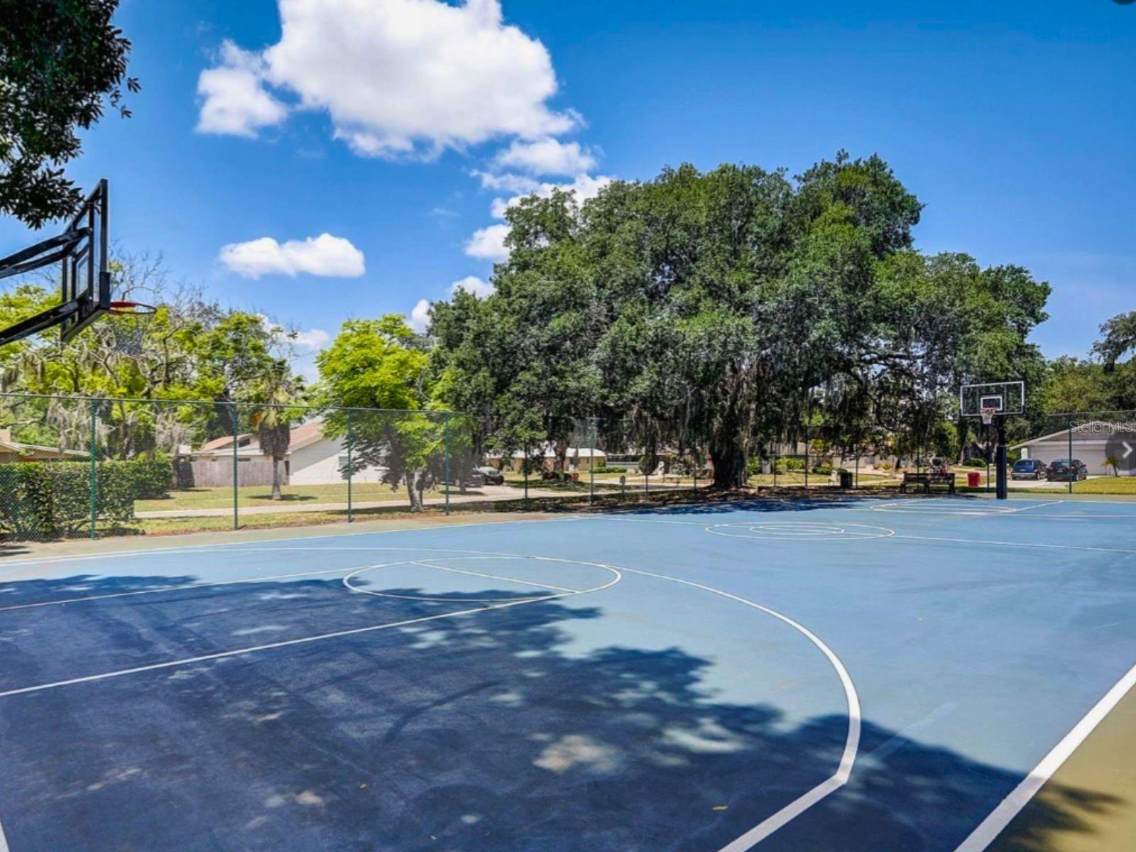 2107 ELMWOOD CT, PLANT CITY, FL, 33563