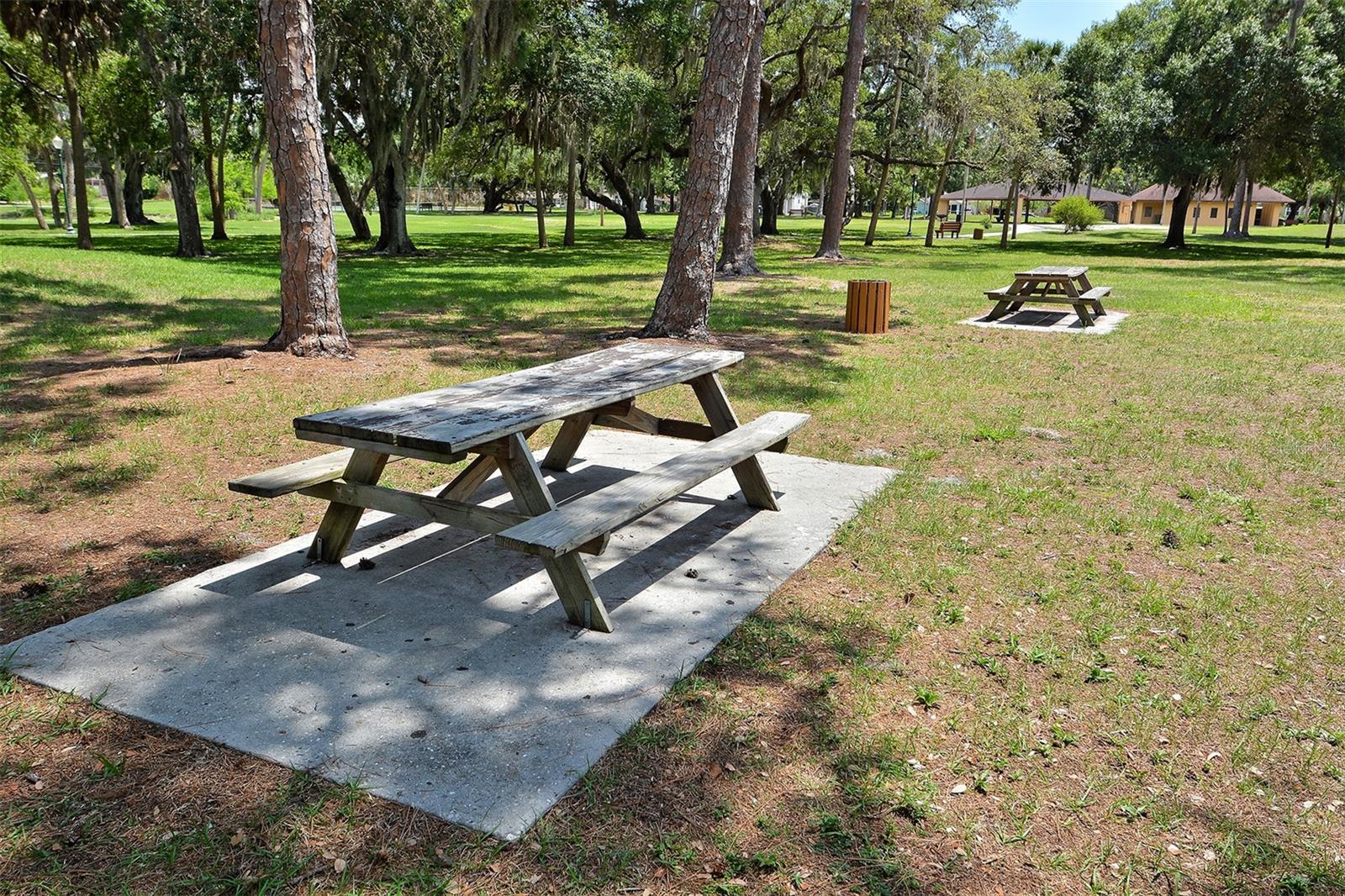 445 N ORANGE AVE #309, SARASOTA, FL, 34236