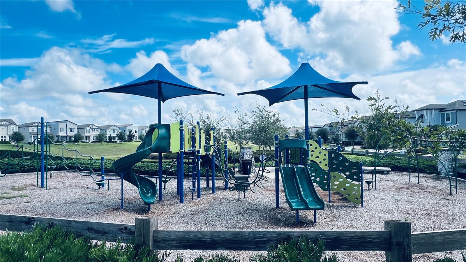10091 AUSTRINA OAK LOOP, WINTER GARDEN, FL, 34787