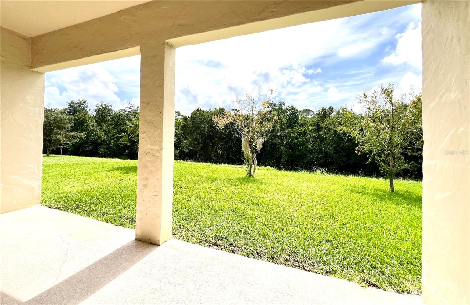 10091 AUSTRINA OAK LOOP, WINTER GARDEN, FL, 34787