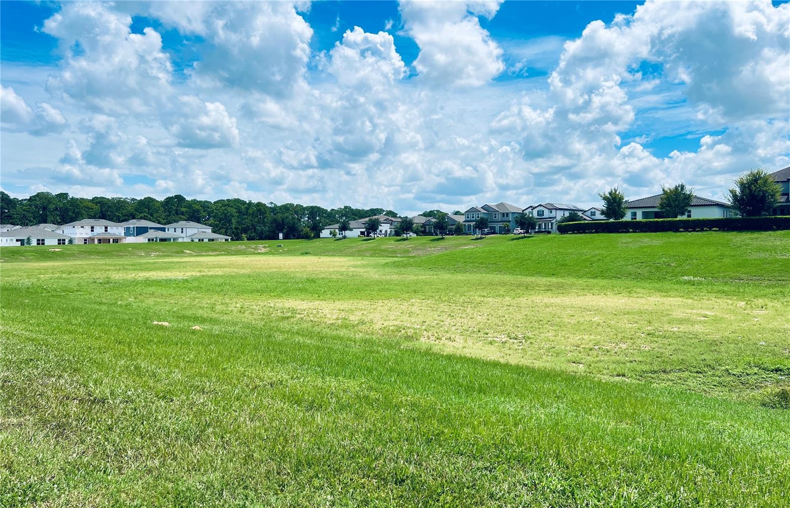 10091 AUSTRINA OAK LOOP, WINTER GARDEN, FL, 34787