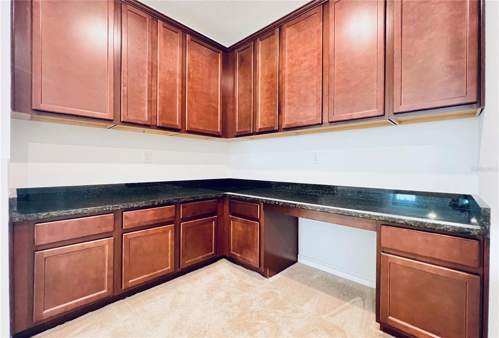 10091 AUSTRINA OAK LOOP, WINTER GARDEN, FL, 34787