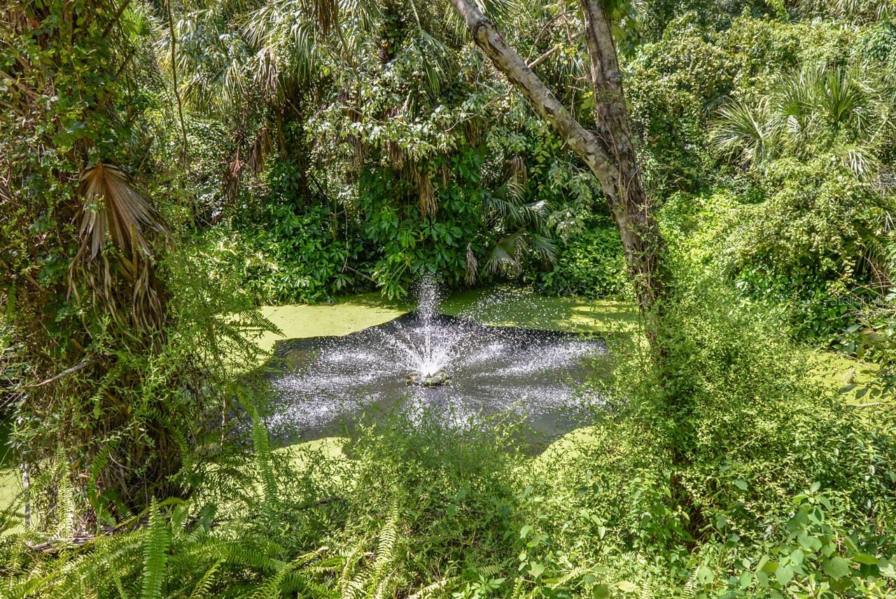 4808 RAMBLING RIVER RD, BRANDON, FL, 33511