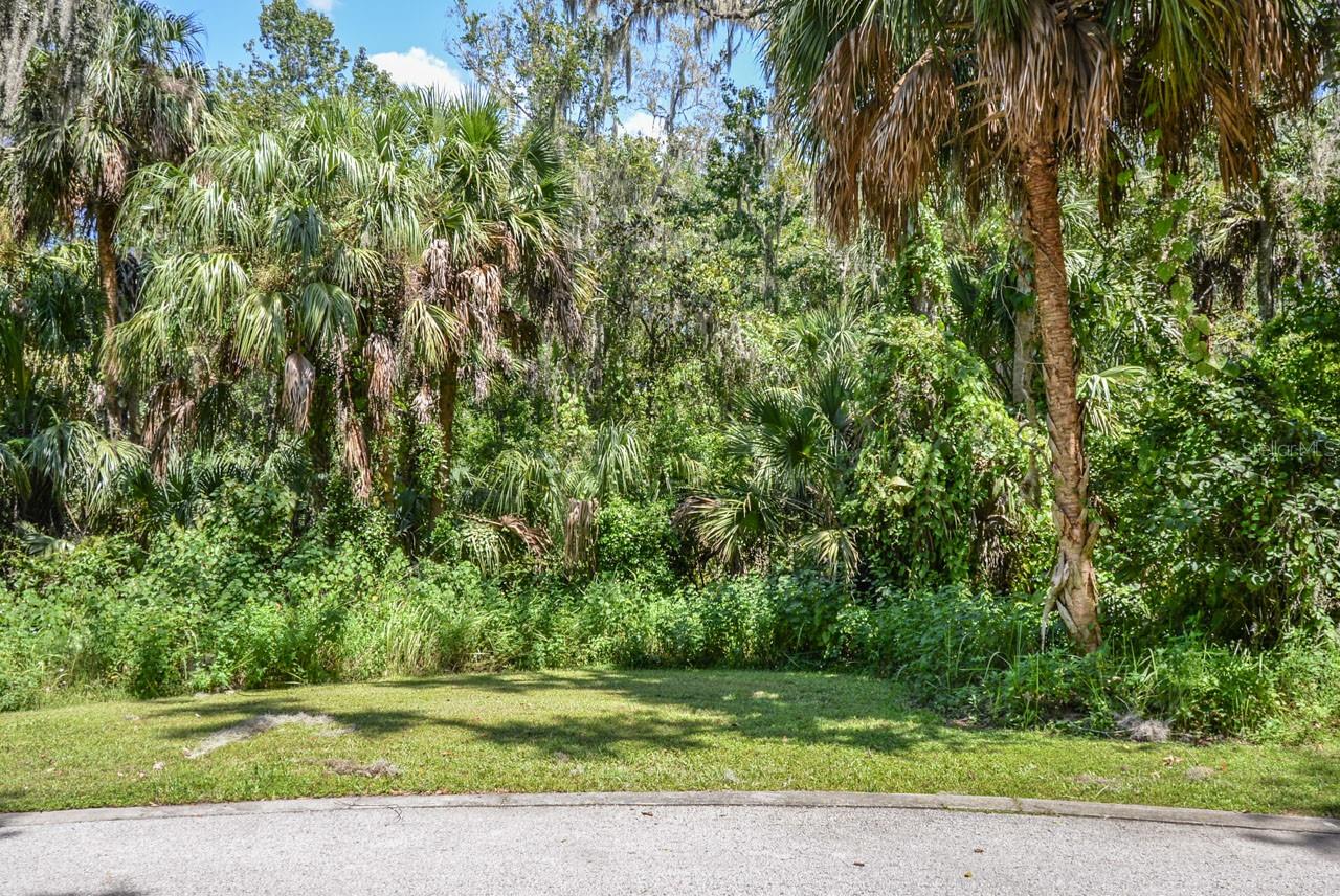 4808 RAMBLING RIVER RD, BRANDON, FL, 33511