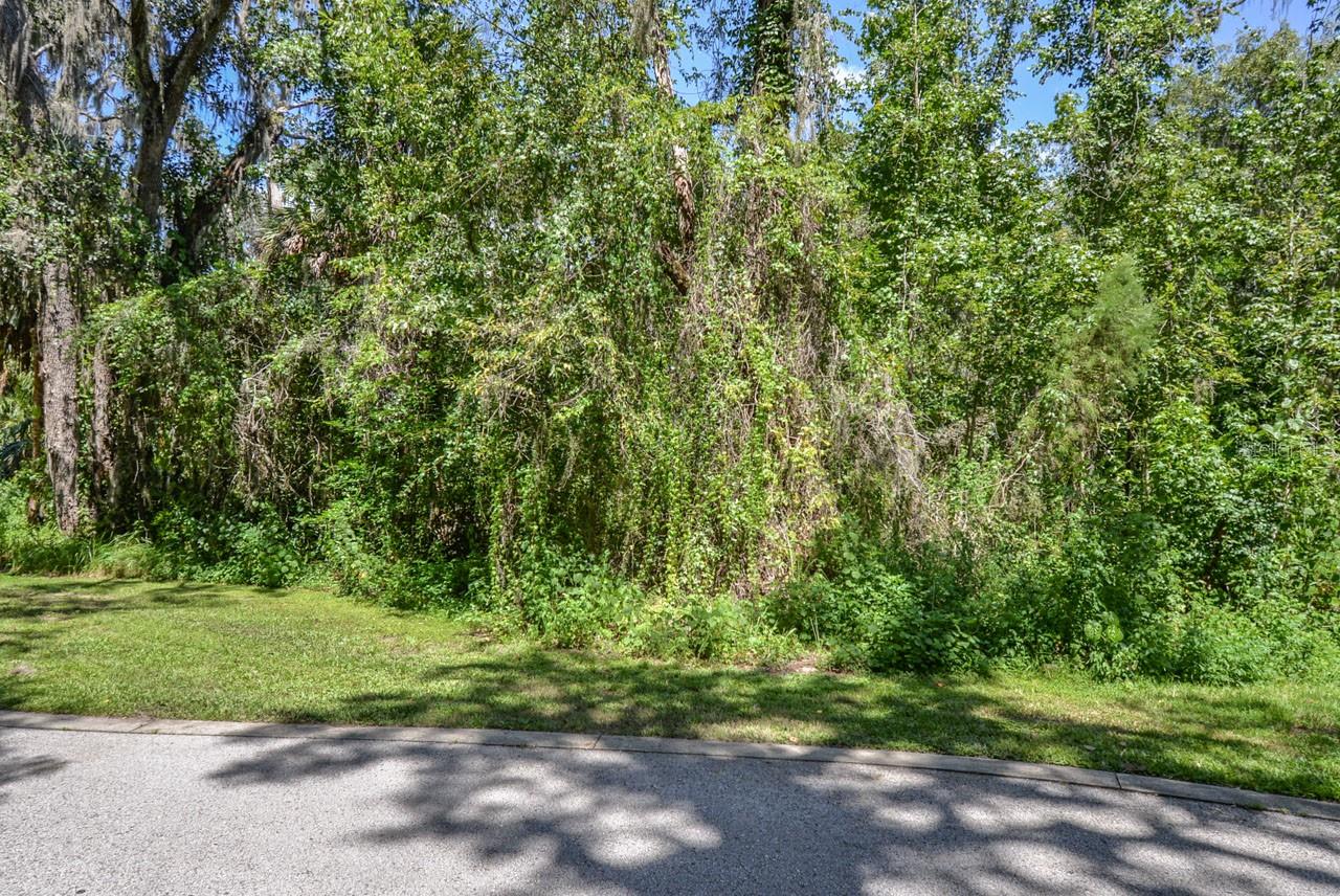 4808 RAMBLING RIVER RD, BRANDON, FL, 33511