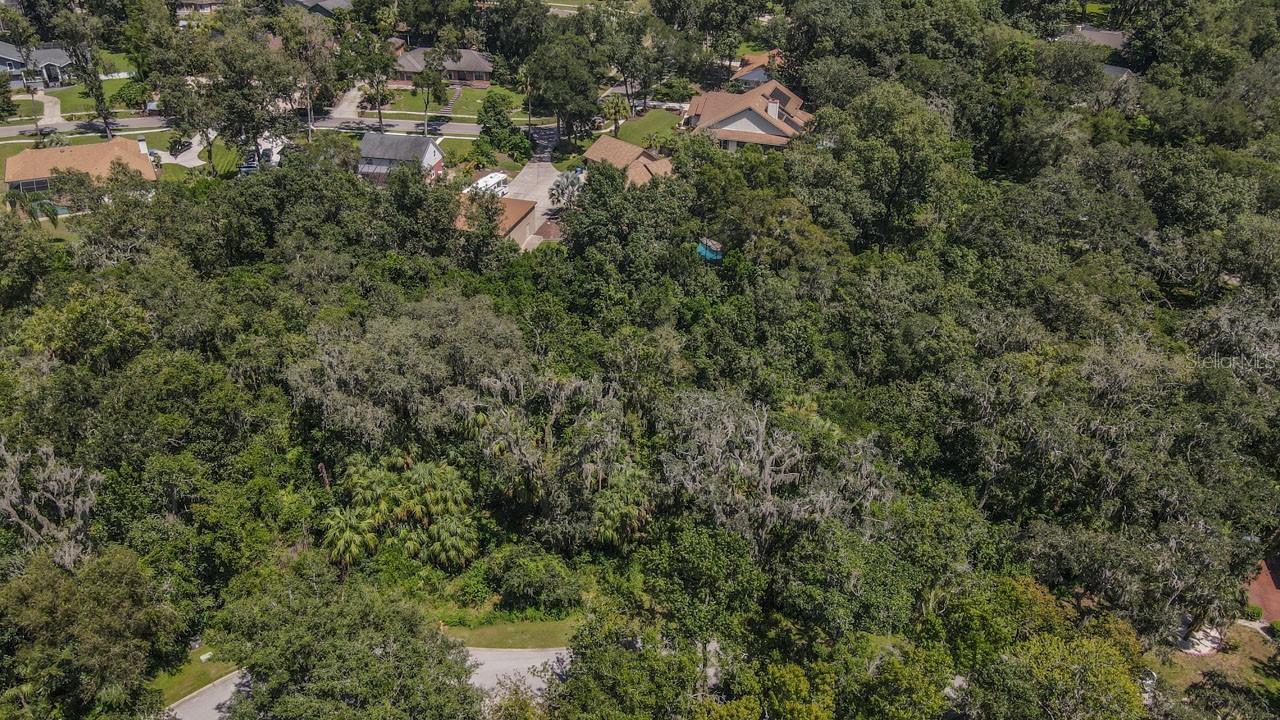 4808 RAMBLING RIVER RD, BRANDON, FL, 33511