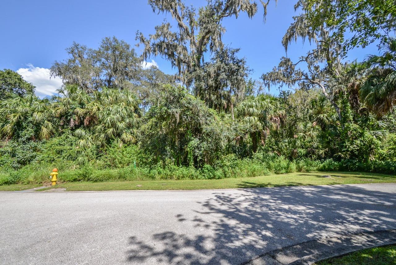 4808 RAMBLING RIVER RD, BRANDON, FL, 33511