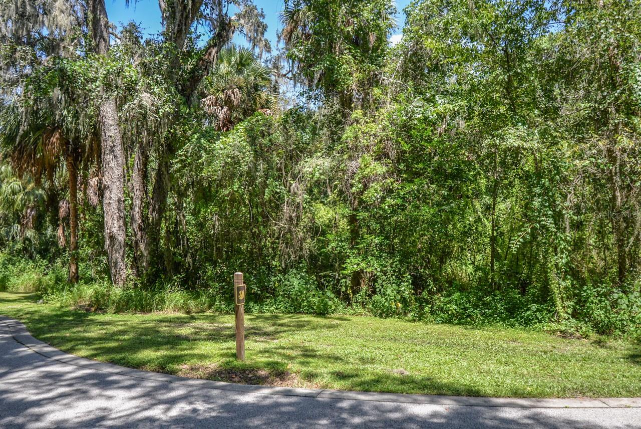 4808 RAMBLING RIVER RD, BRANDON, FL, 33511