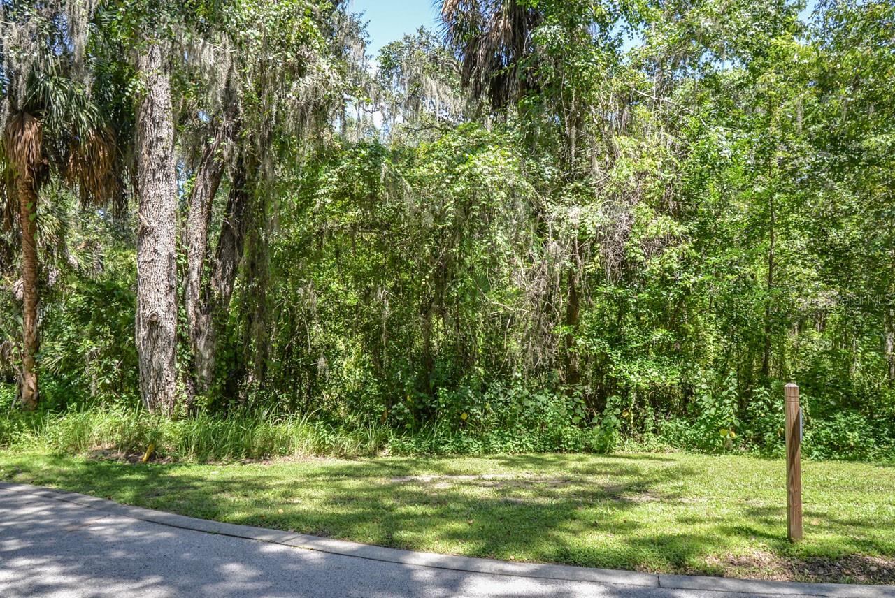 4808 RAMBLING RIVER RD, BRANDON, FL, 33511