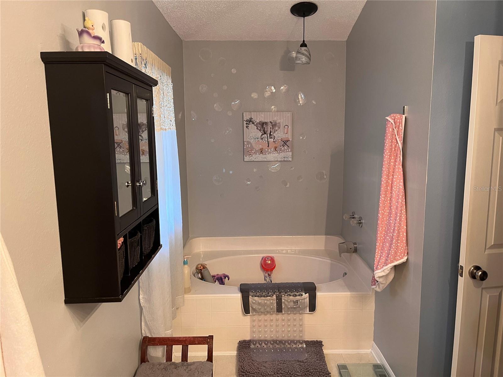 8388 BEGONIA ST, SPRING HILL, FL, 34608