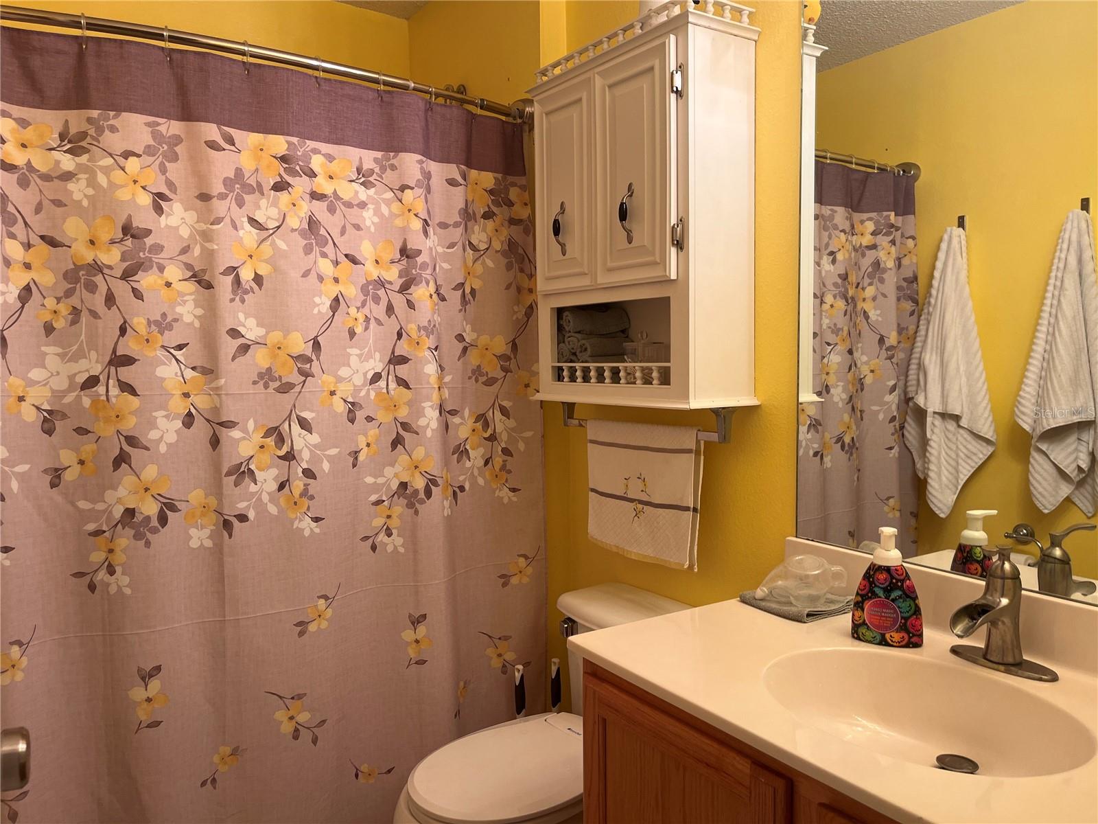 8388 BEGONIA ST, SPRING HILL, FL, 34608