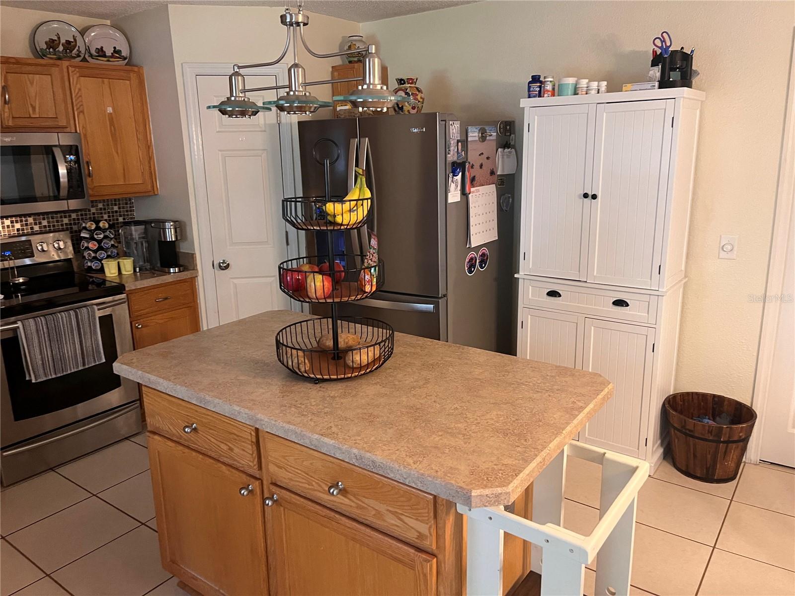 8388 BEGONIA ST, SPRING HILL, FL, 34608