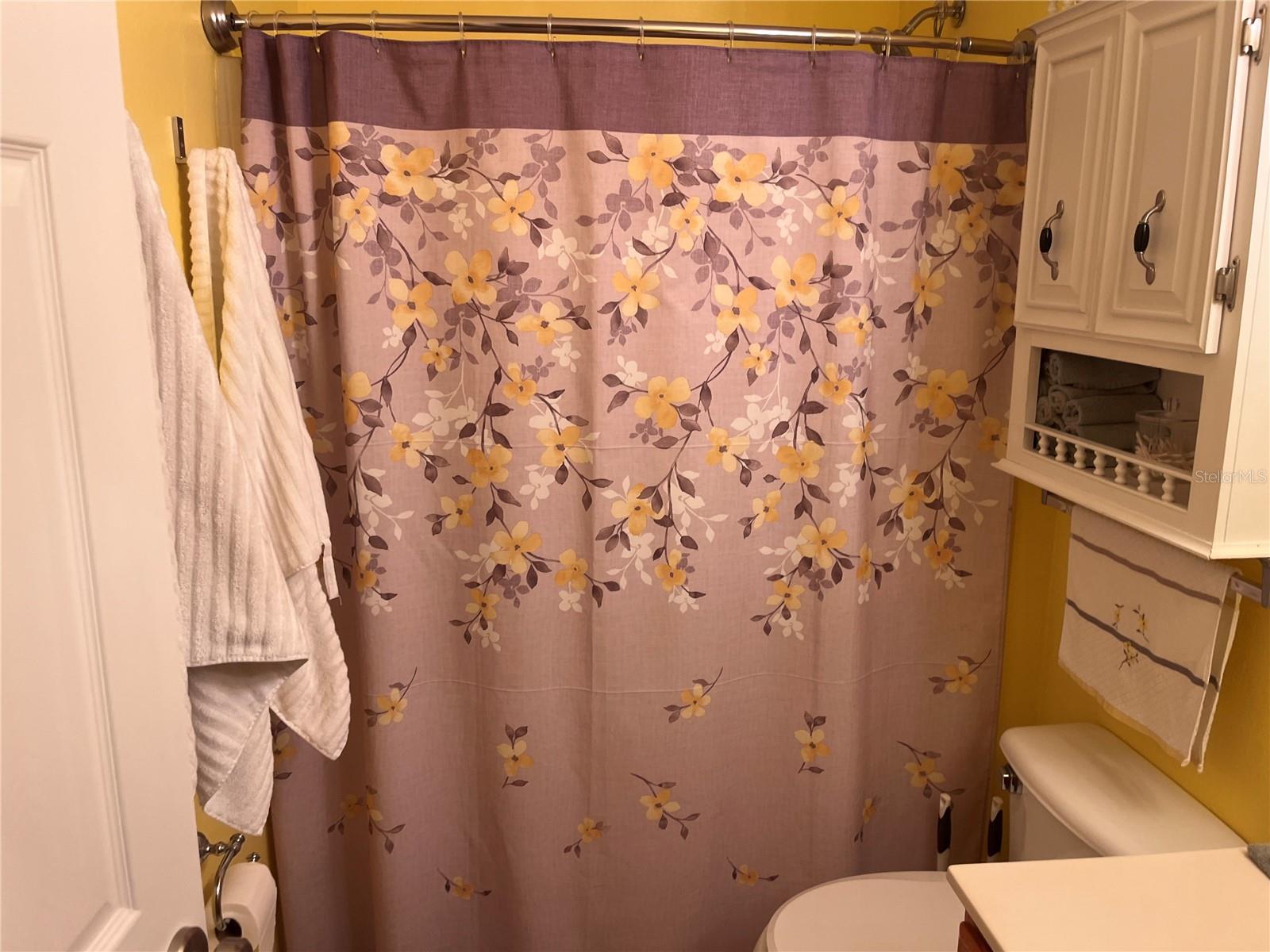 8388 BEGONIA ST, SPRING HILL, FL, 34608