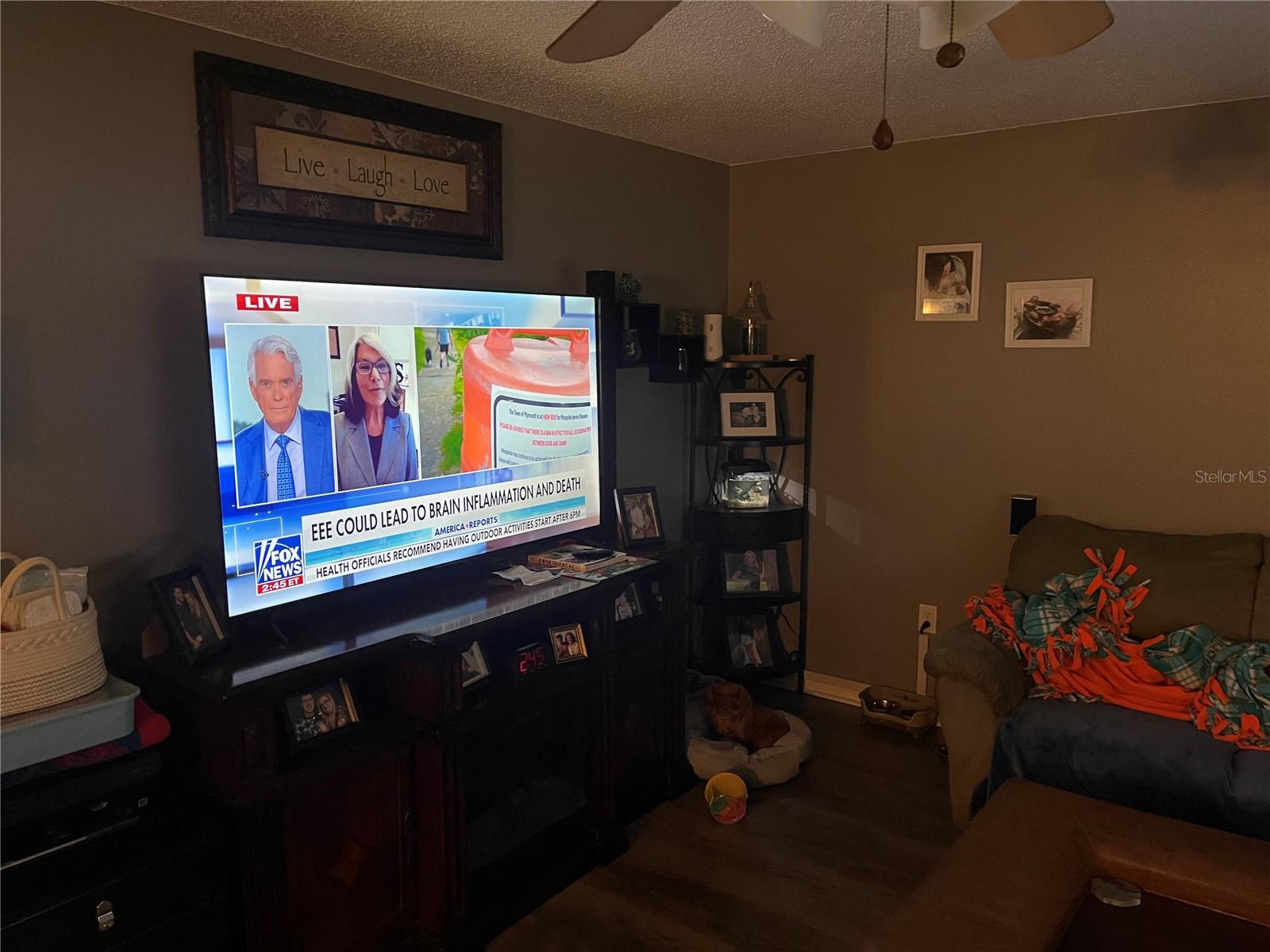 8388 BEGONIA ST, SPRING HILL, FL, 34608