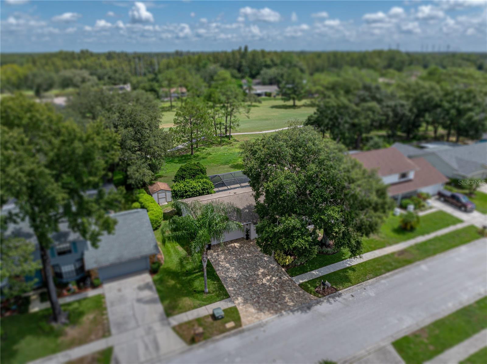 4317 HONEY VISTA CIR, TAMPA, FL, 33624