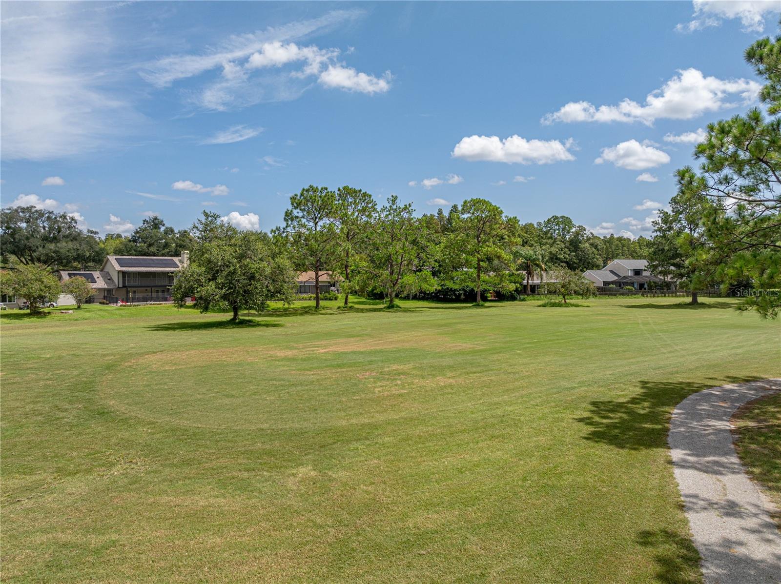 4317 HONEY VISTA CIR, TAMPA, FL, 33624