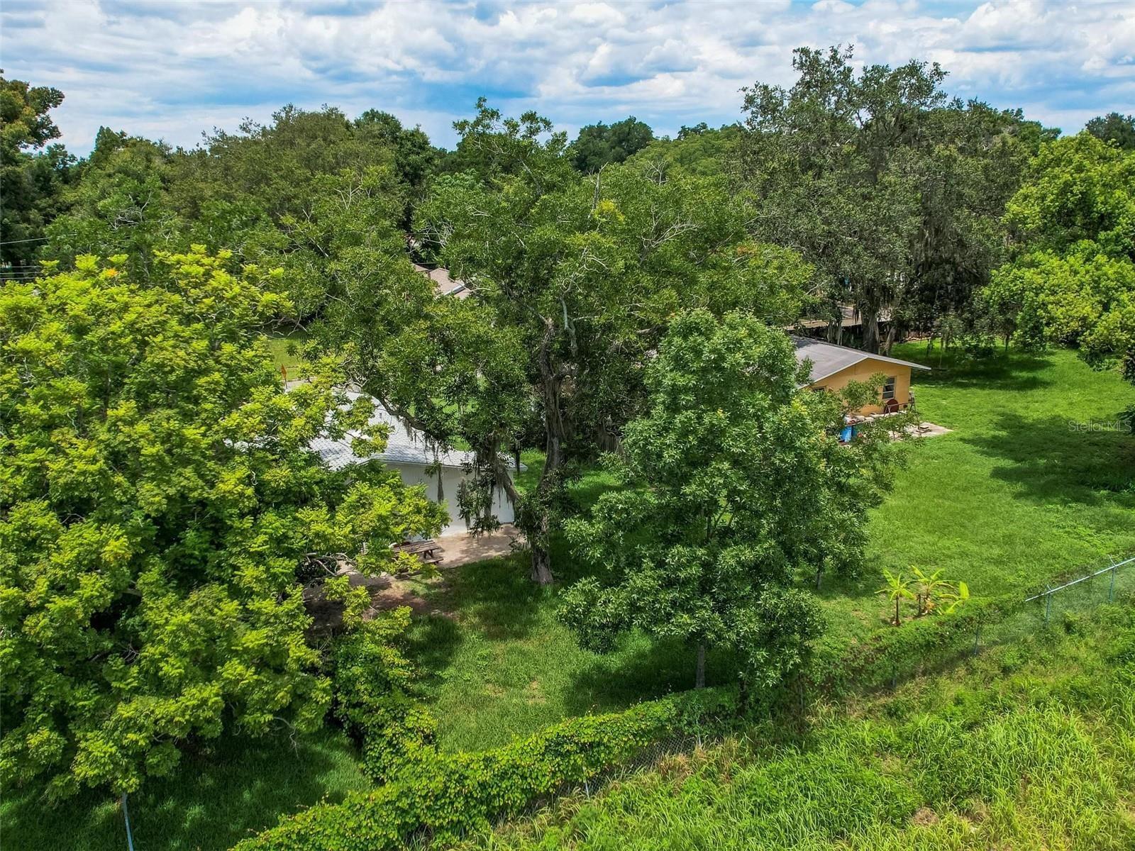 1129 CRESTVIEW AVE, LAKELAND, FL, 33805