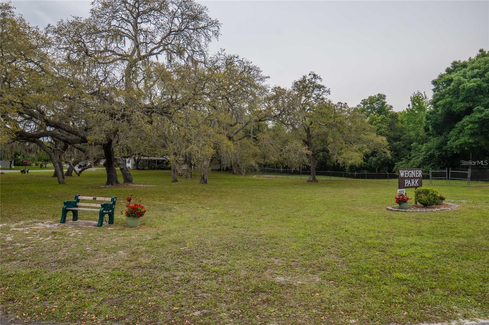 34928 FRASER ST, DADE CITY, FL, 33523