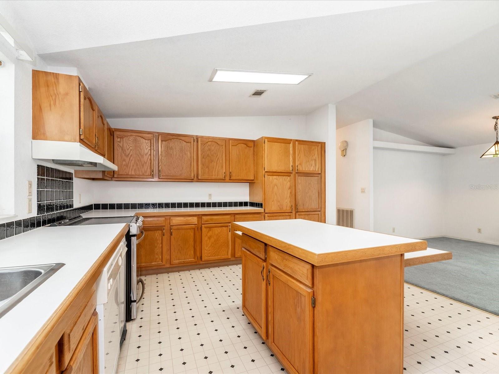 34928 FRASER ST, DADE CITY, FL, 33523