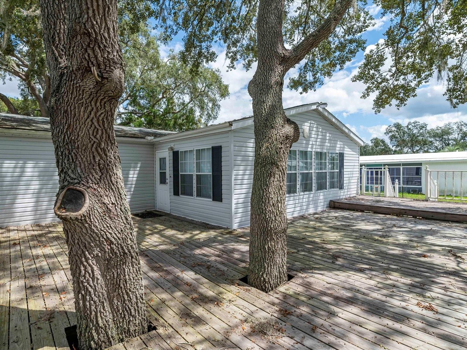 34928 FRASER ST, DADE CITY, FL, 33523