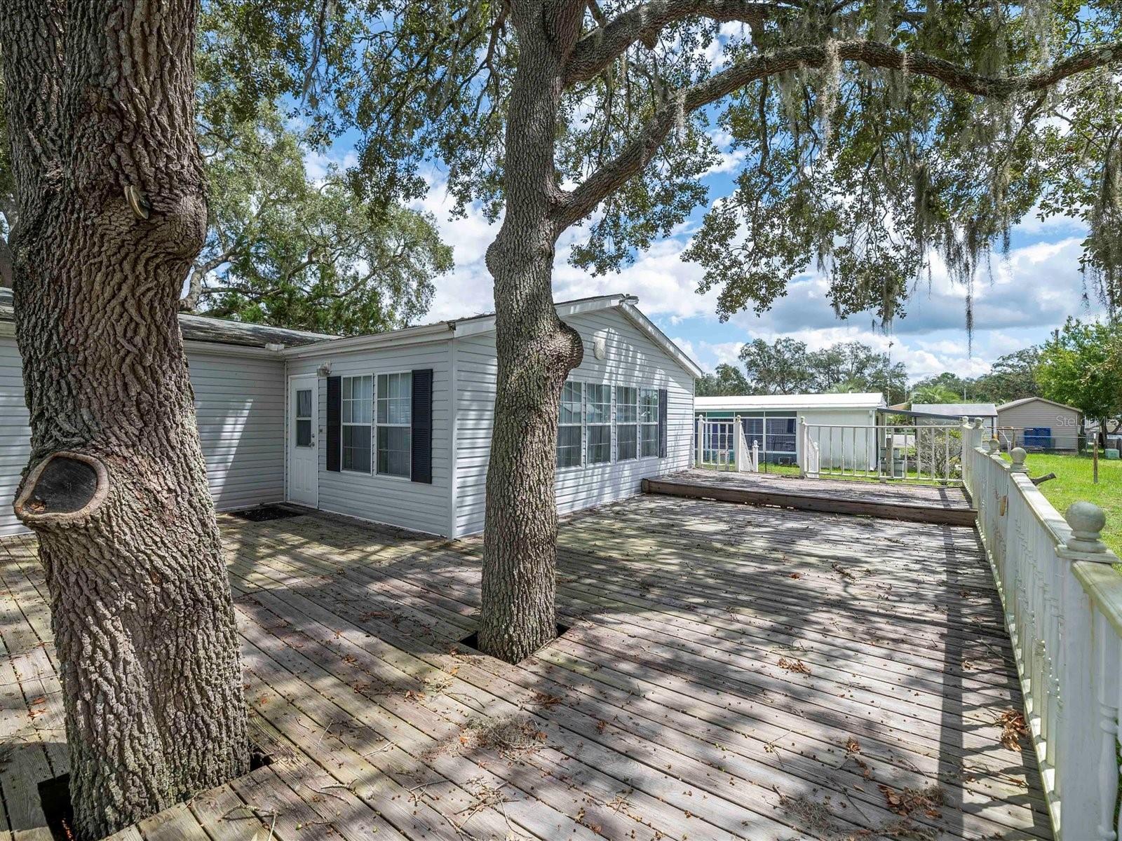 34928 FRASER ST, DADE CITY, FL, 33523