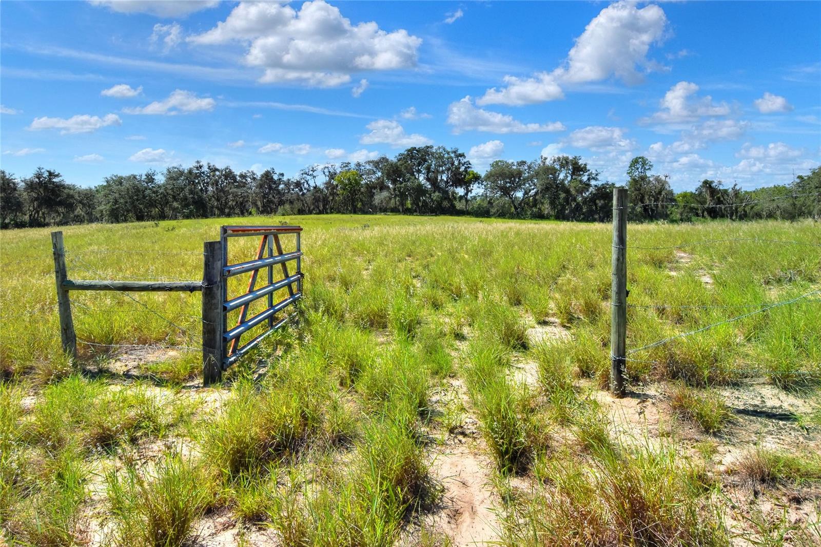 ANDERSON RD, LAKE WALES, FL, 33898