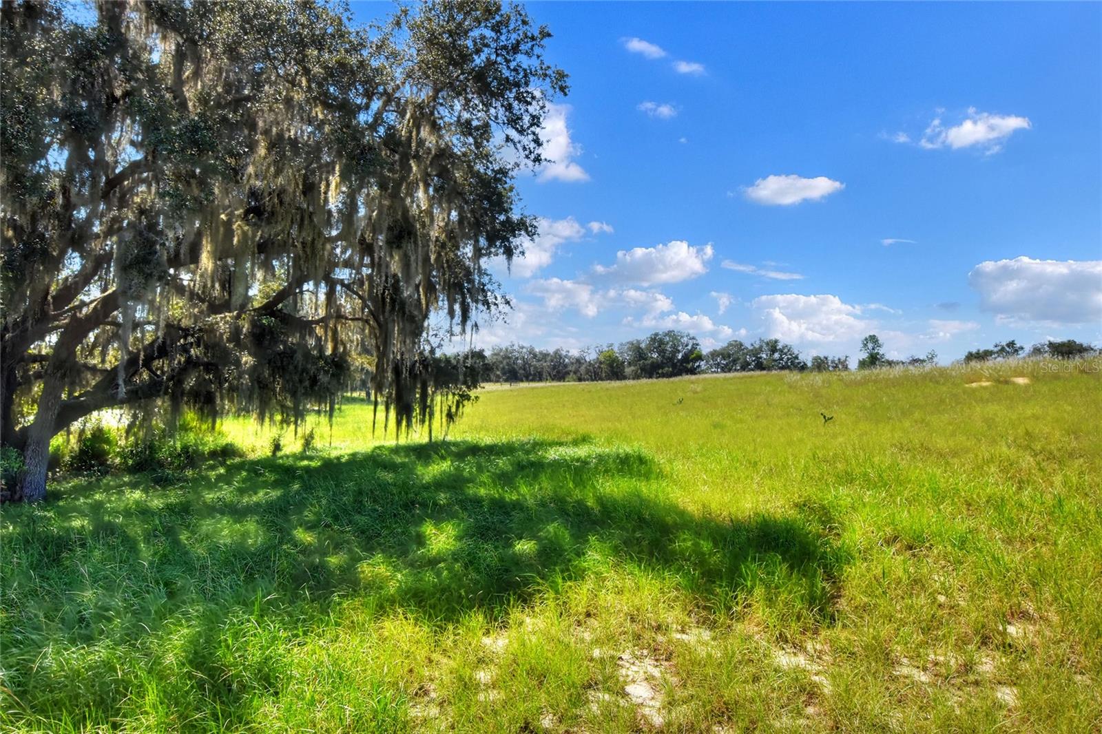 ANDERSON RD, LAKE WALES, FL, 33898