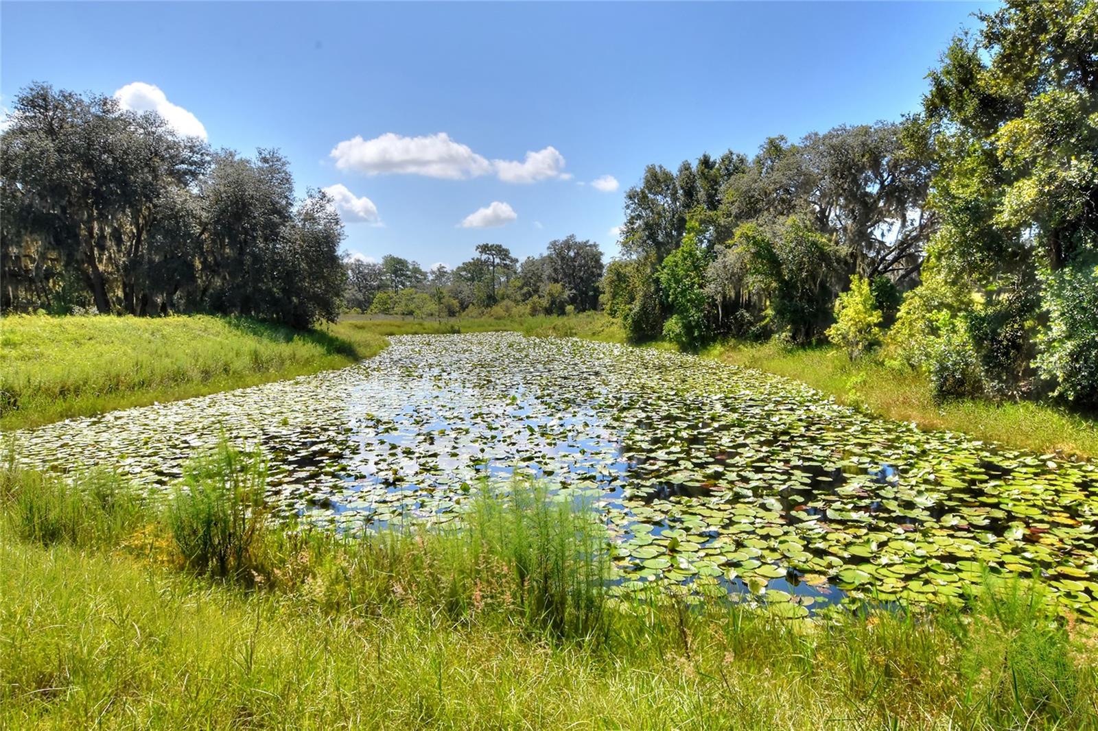 ANDERSON RD, LAKE WALES, FL, 33898