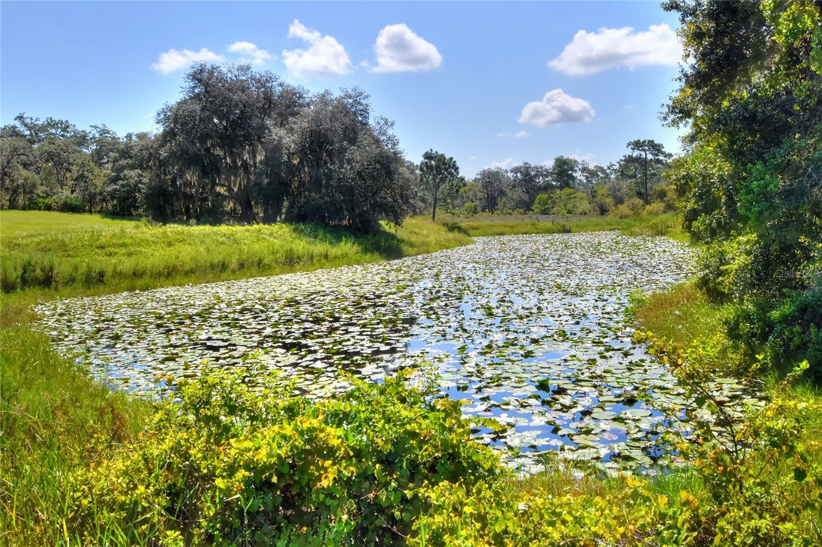 ANDERSON RD, LAKE WALES, FL, 33898