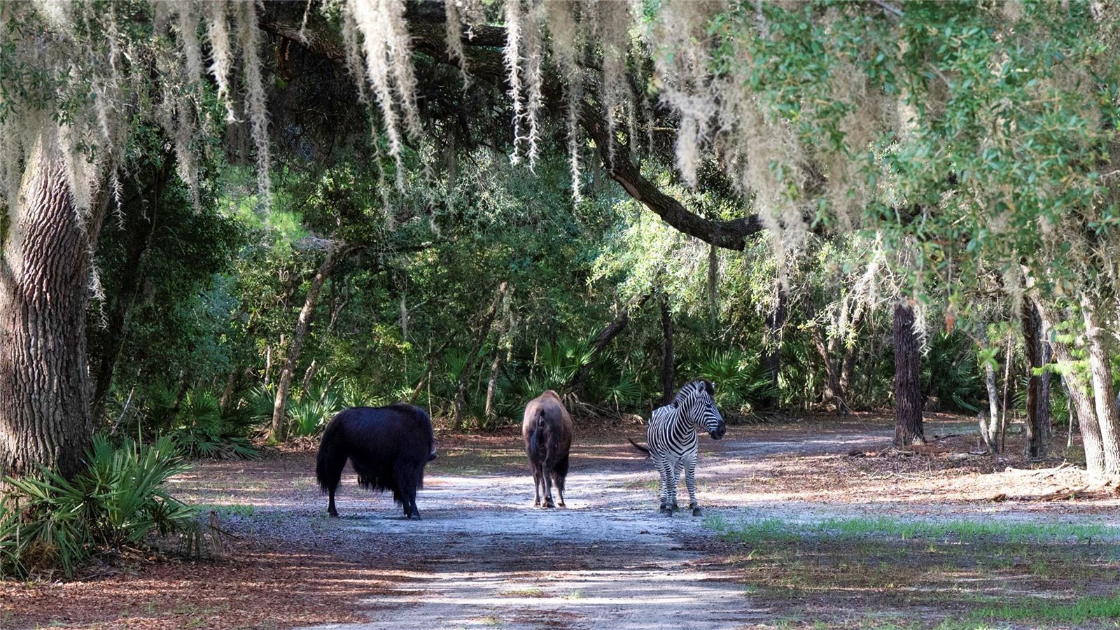 134 SHORESIDE TRAIL, CRESCENT CITY, FL, 32112