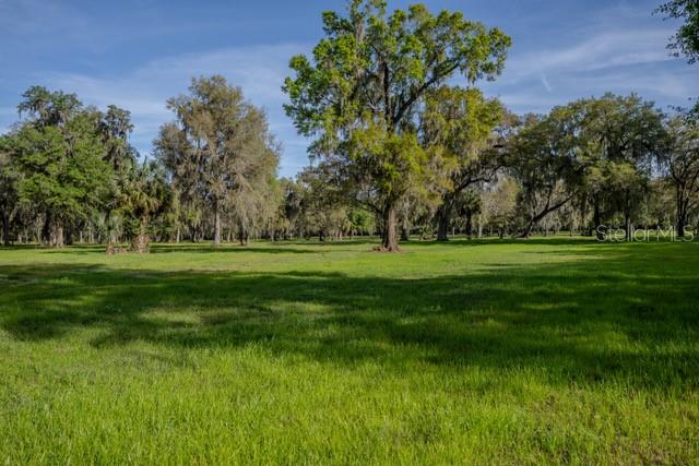 TBD W. HWY 316, REDDICK, FL, 32686
