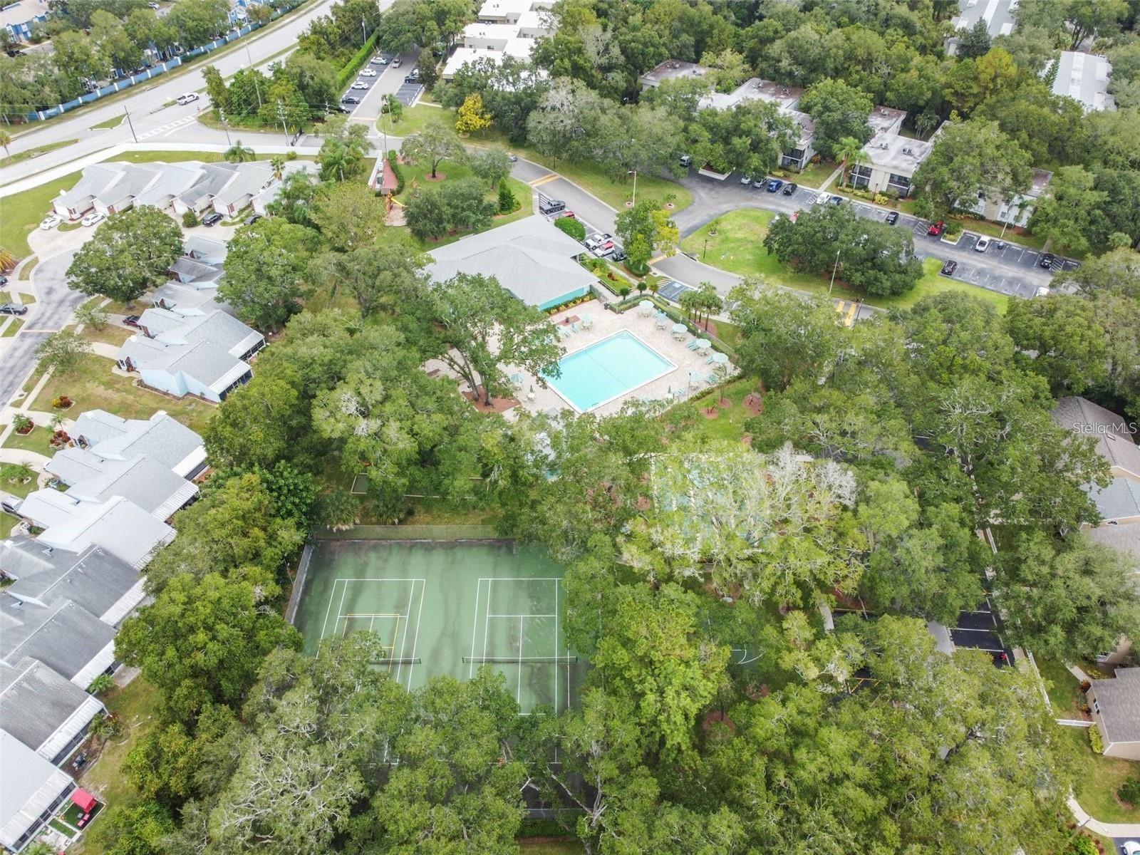 3300 FOX CHASE CIR N #231, PALM HARBOR, FL, 34683