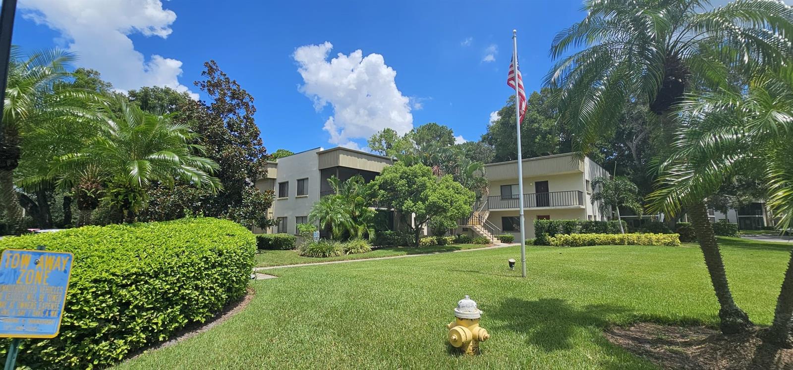 3300 FOX CHASE CIR N #231, PALM HARBOR, FL, 34683