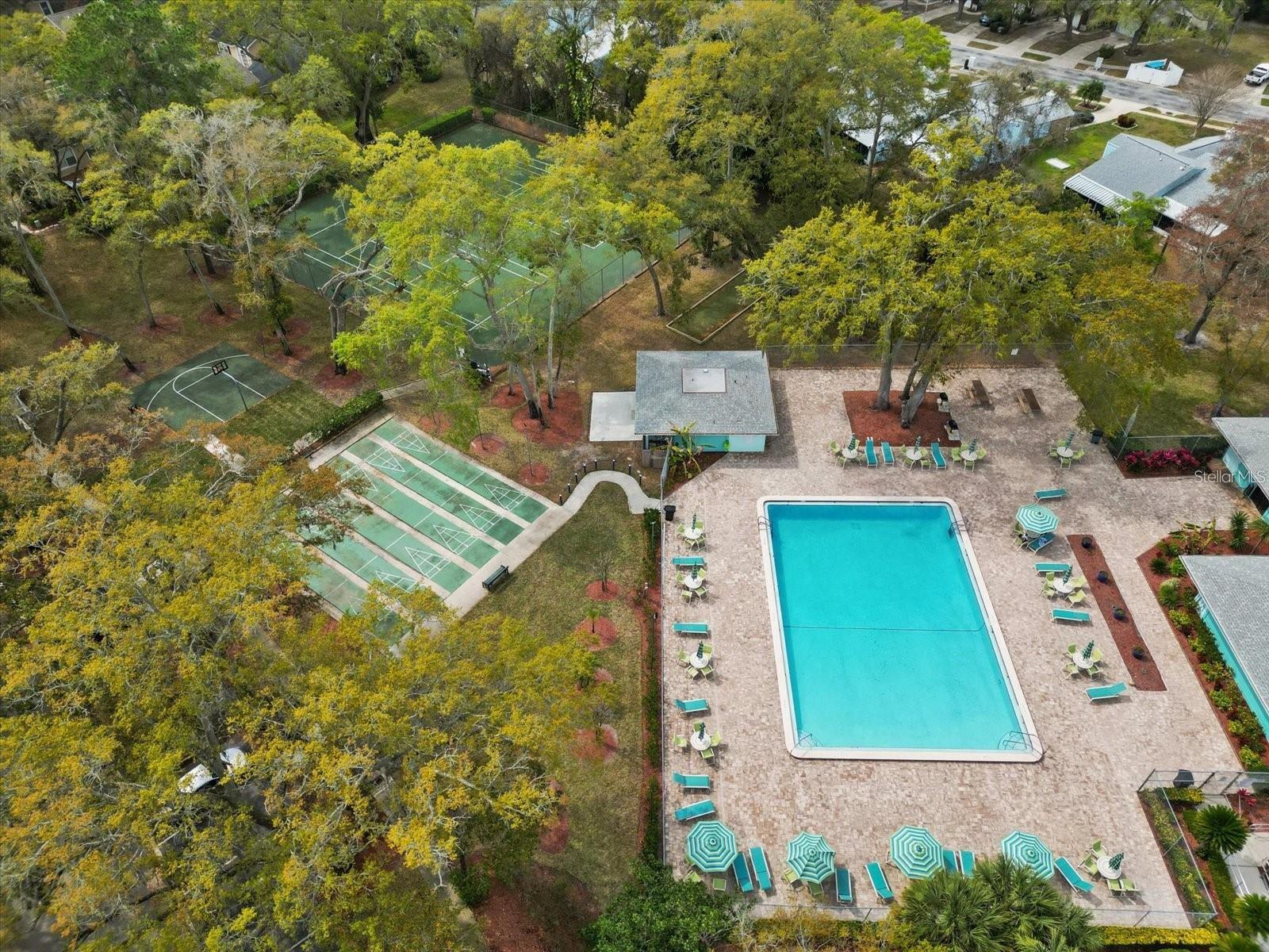 3300 FOX CHASE CIR N #231, PALM HARBOR, FL, 34683